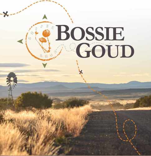 Bossie Goud Skatttejag Reëls