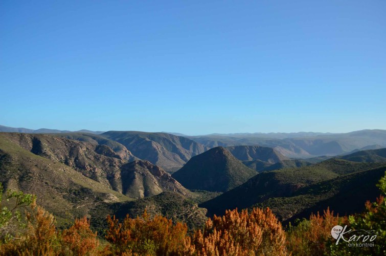 Thomas Bain die groot padingenieur