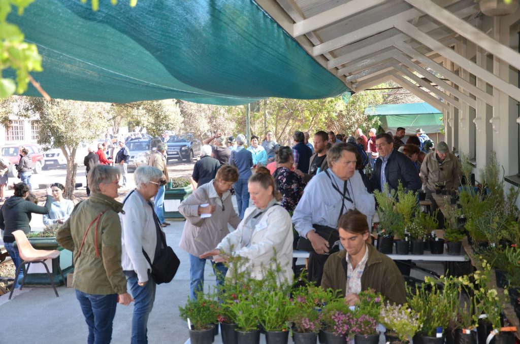 Calitzdorp Vetplant Fees