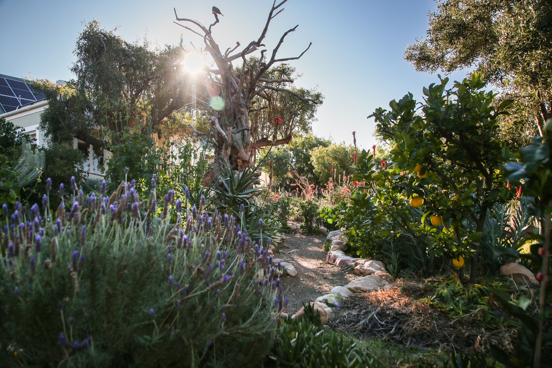 Prince Albert Open Gardens