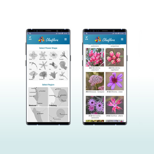 Clanflora App