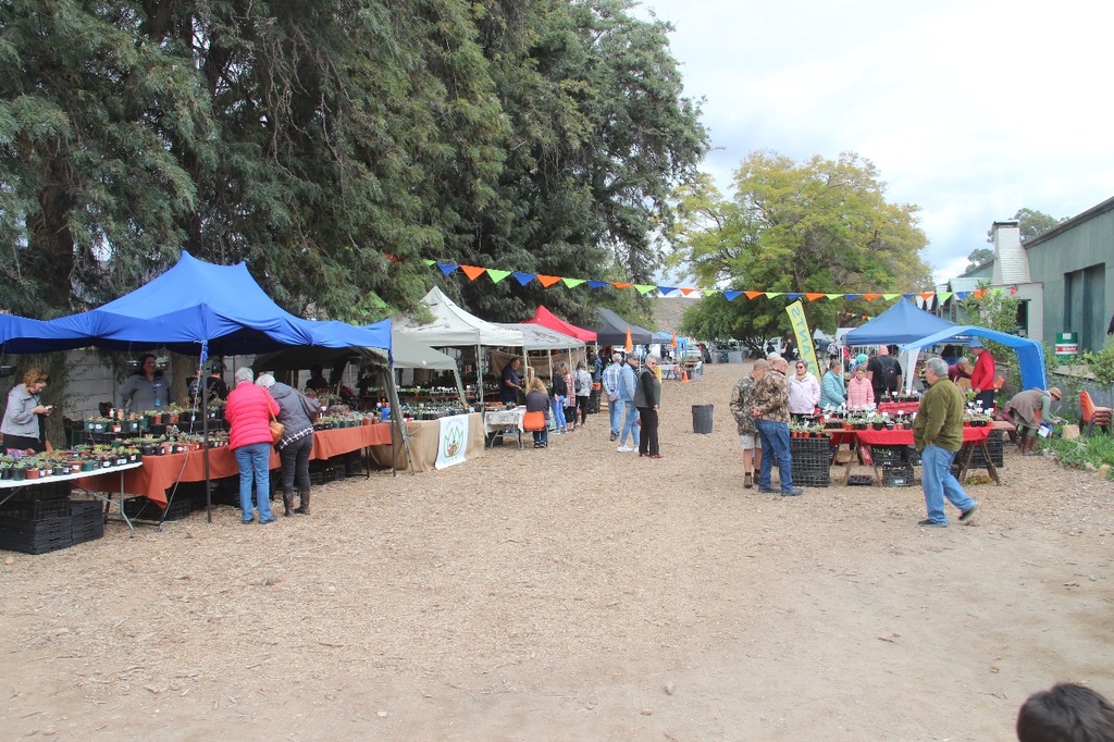 Calitzdorp Vetplant Fees