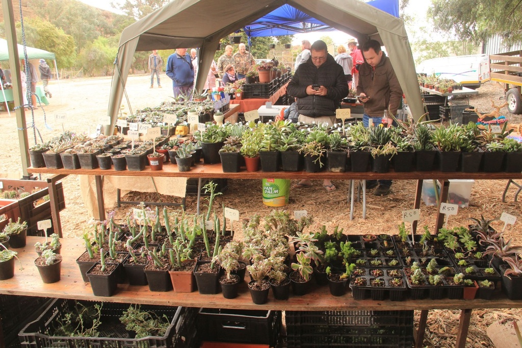 Calitzdorp Vetplant Fees