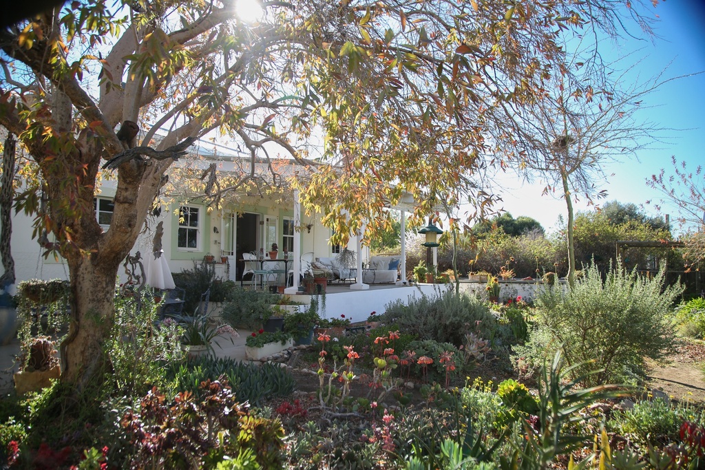Prince Albert Open Gardens
