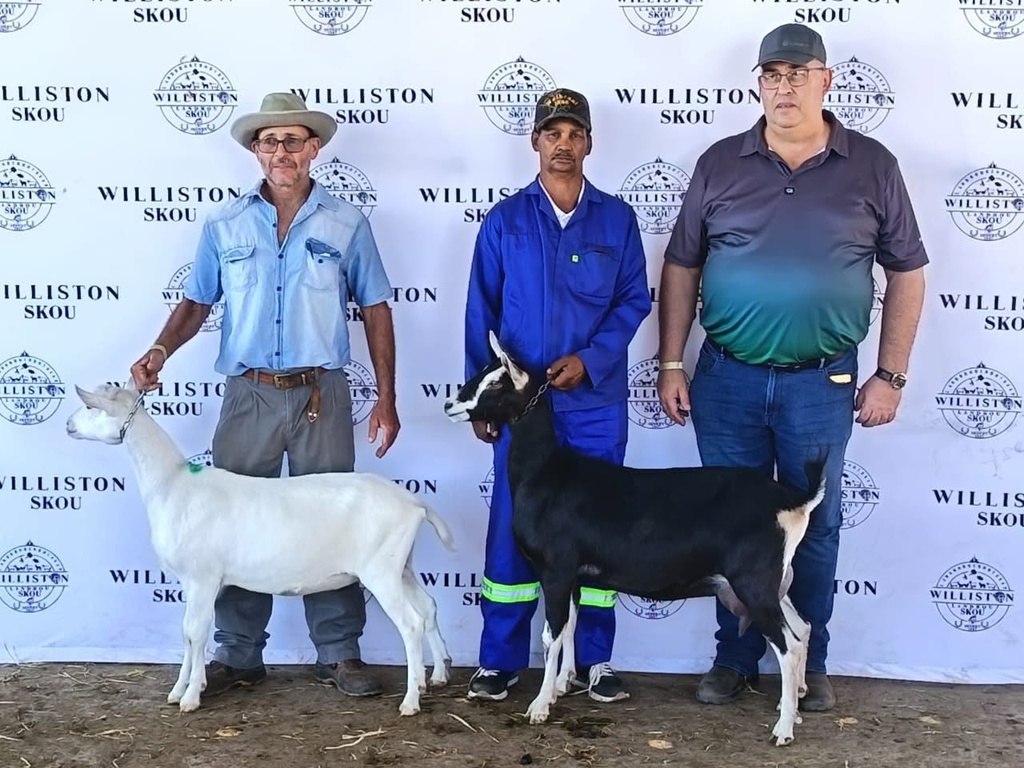 Williston Landbouskou