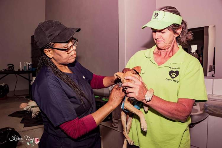 970c3a0c.jpeg
