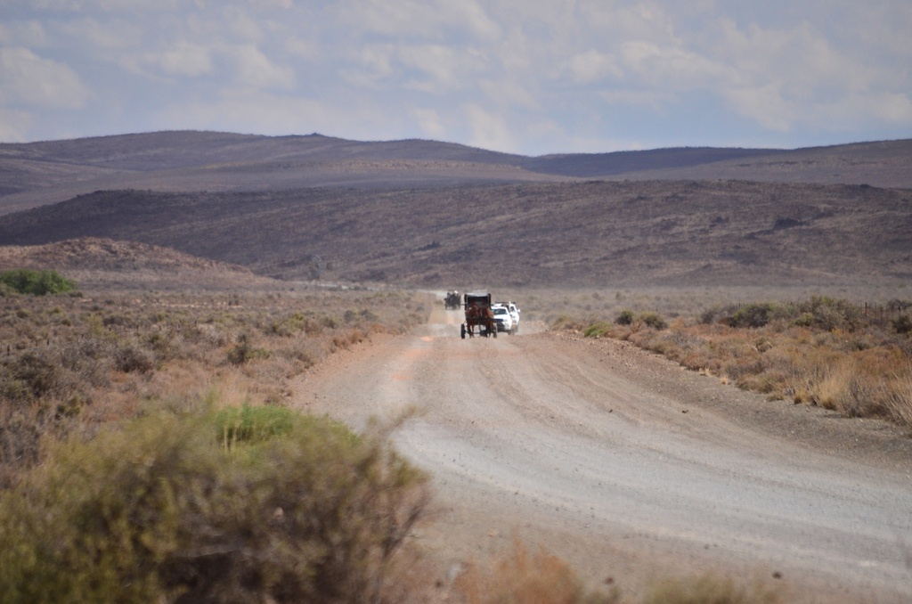 Image form The Forgotten Highway Road trip in 2022 with horse and carriage