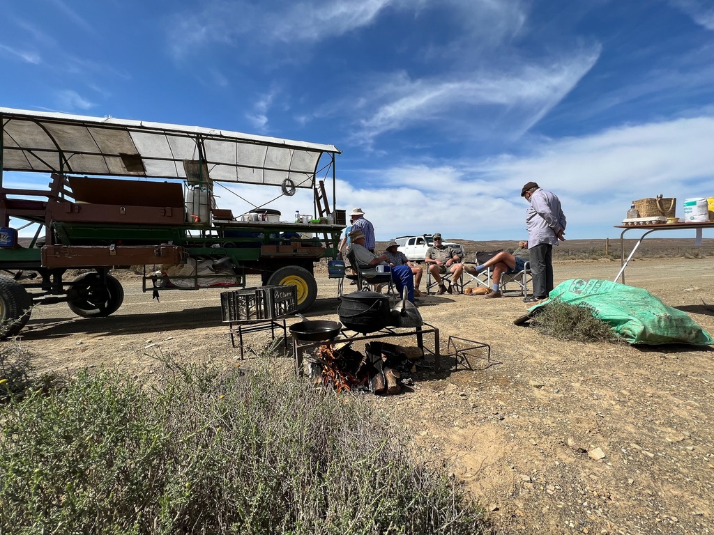Image form The Forgotten Highway Road trip in 2022 with horse and carriage