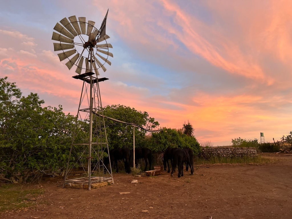 Image form The Forgotten Highway Road trip in 2022 with horse and carriage
