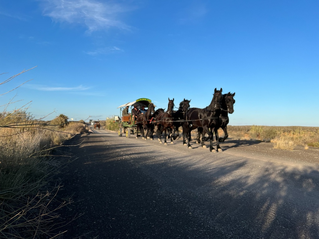 Image form The Forgotten Highway Road trip in 2022 with horse and carriage