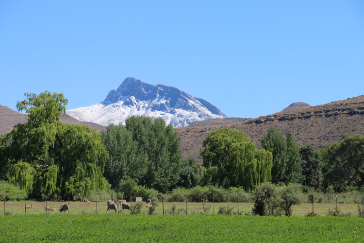 c0f783a8.jpg
