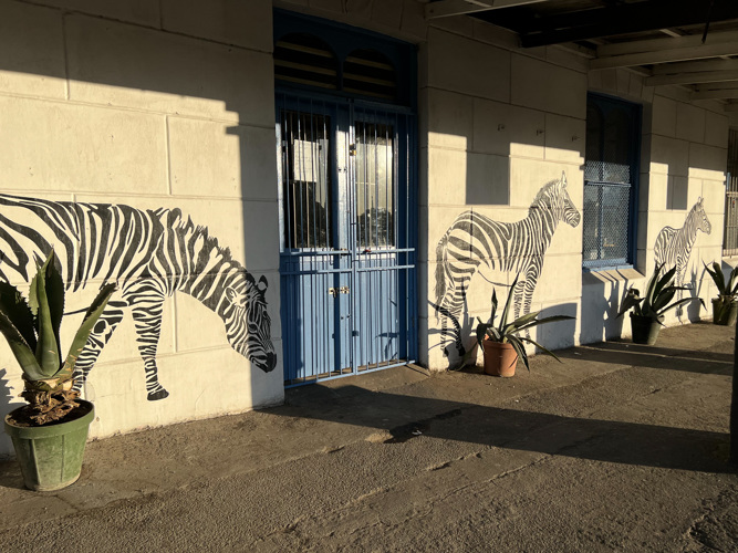 Zebra trok muurskildery 3