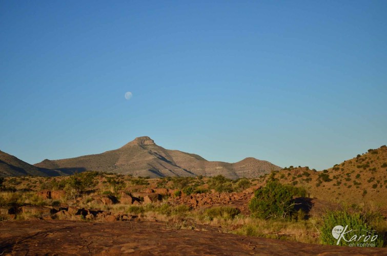 Egg Rock