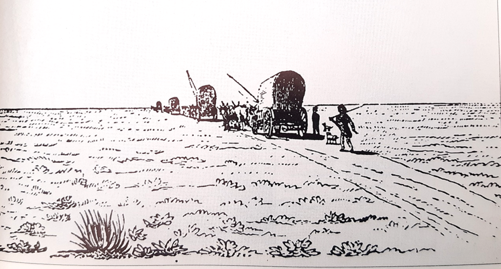 Sketch by William Burchell, 1811