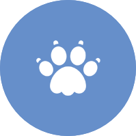 Wildkampeer