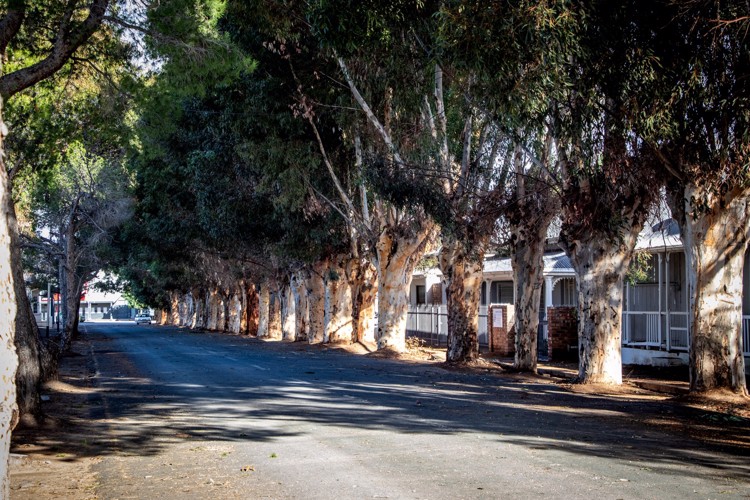 Willowmore