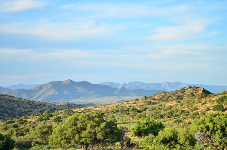 Vosburg