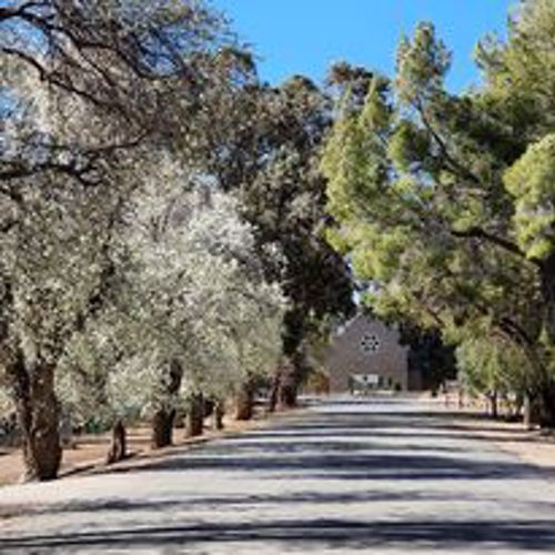 Loxton