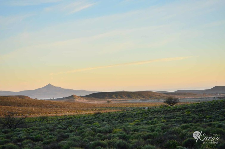 Loeriesfontein