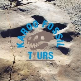 Karoo Fossil Tours logo